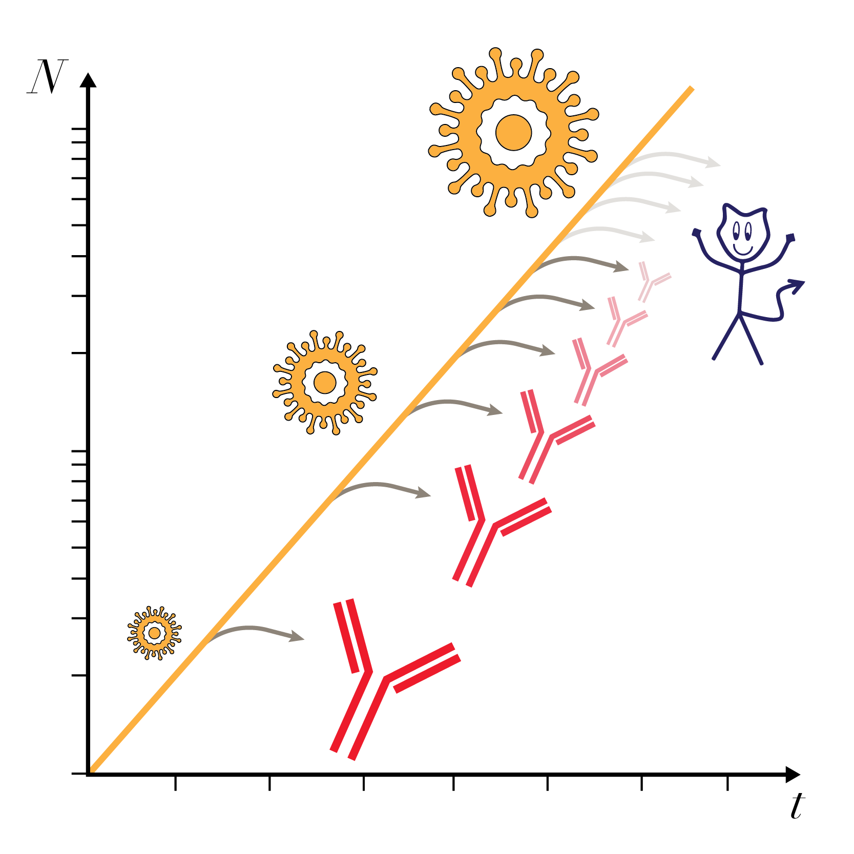 Exponential proofreading